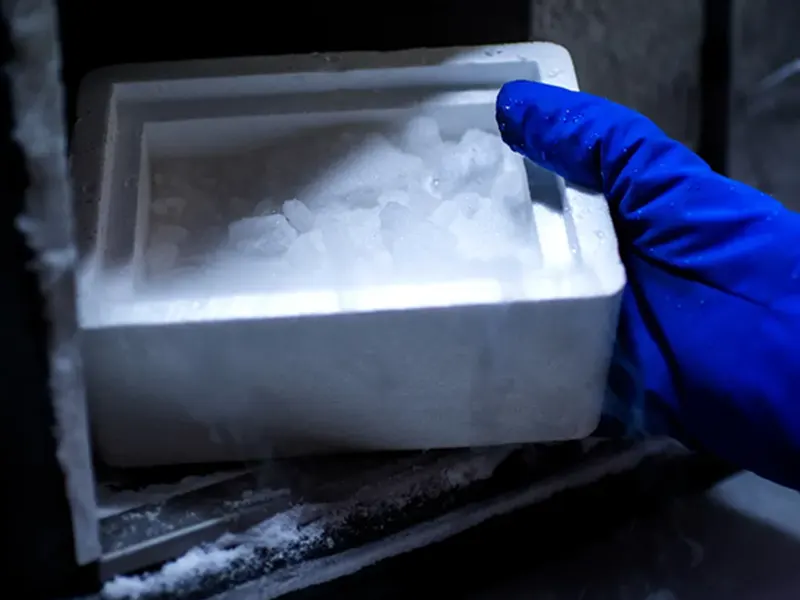 Dry Ice 