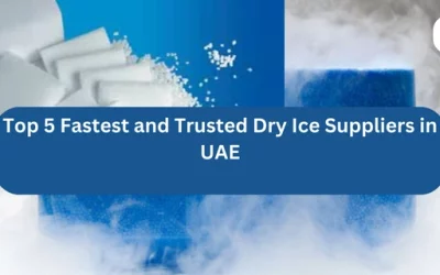 Top 5 Fastest and Trusted Dry Ice Suppliers in UAE