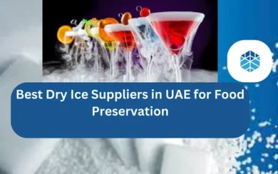 Best Dry Ice Suppliers in UAE for Food Preservation