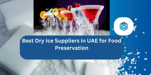 Best Dry Ice Suppliers in UAE for Food Preservation