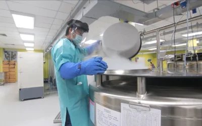 Liquid nitrogen suppliers in Dubai and Abu Dhabi.